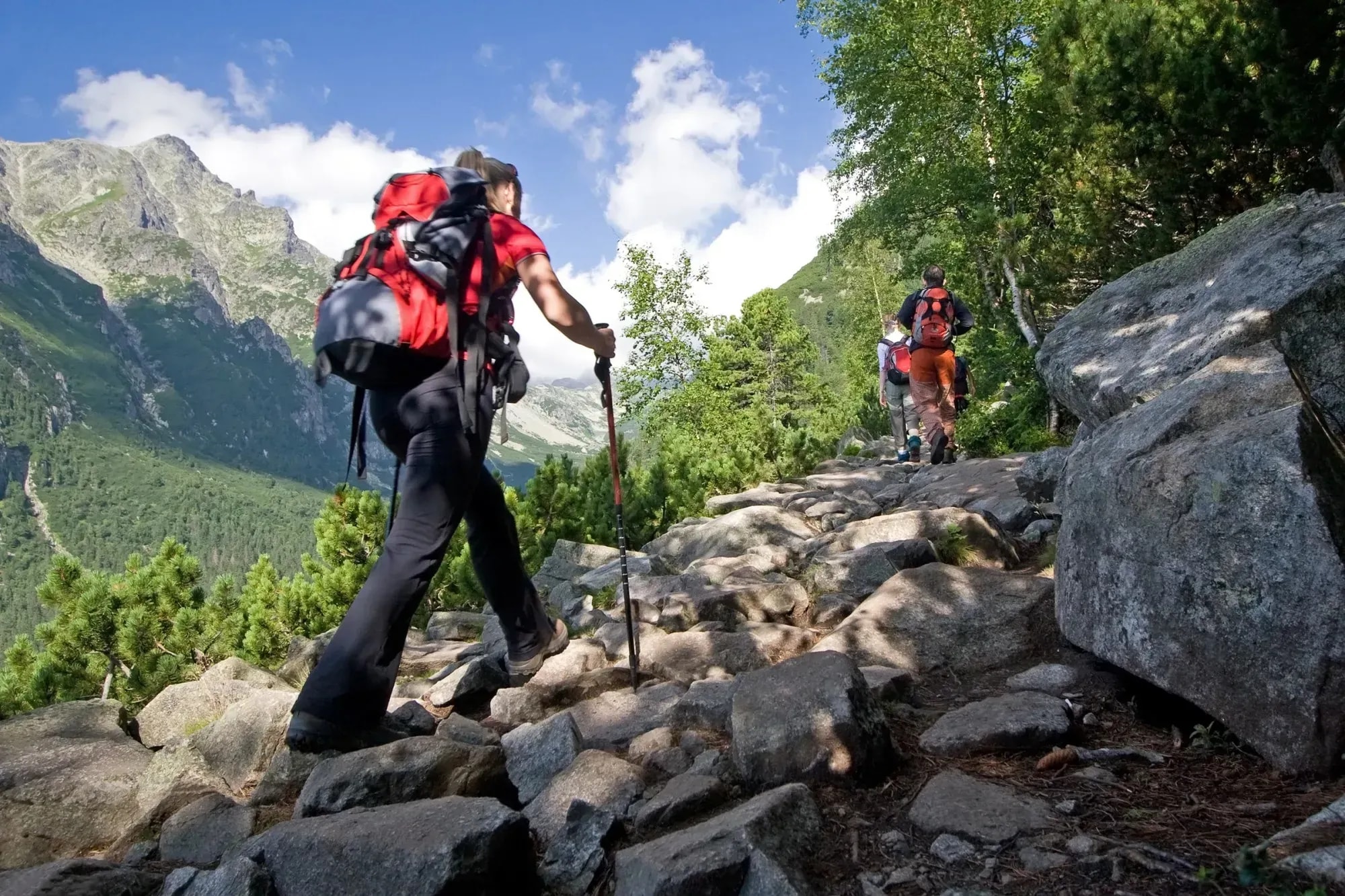 Erholsamer Urlaub in einer urigen Hütte in Donnersbachwald